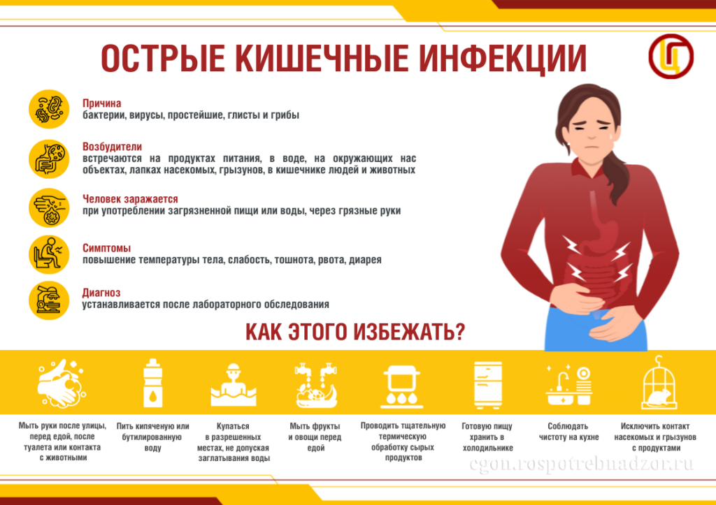 Иллюстрация к материалу «Информация по профилактике острой кишечной инфекции»
