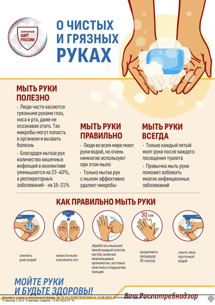 Иллюстрация к материалу «Информация по профилактике острой кишечной инфекции»