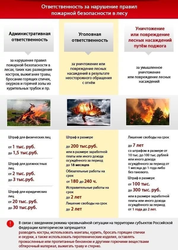 Иллюстрация к материалу «МЧС информирует»